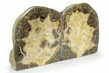Beautiful Septarian Geode Bookends - Utah #241990-2